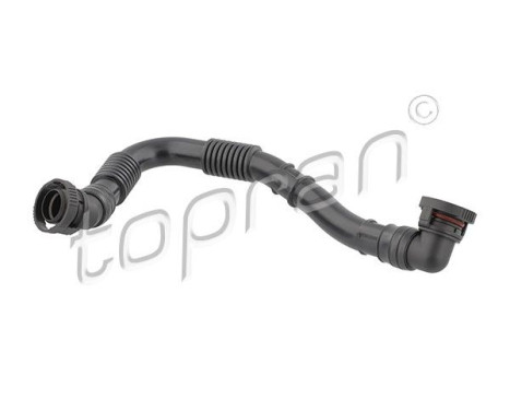 Hose, cylinder head cover breather