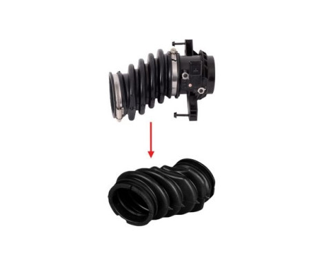 Intake hose, air filter