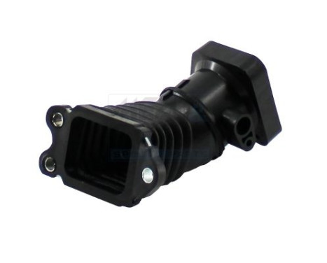 Intake hose, air filter