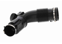 Intake hose, air filter