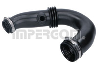 Intake hose, air filter