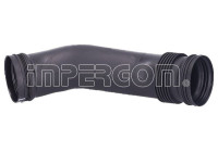 Intake hose, air filter
