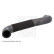 Radiator hose ADBP930016 Blue Print, Thumbnail 2