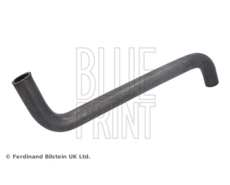 Radiator hose ADBP930019 Blue Print, Image 2