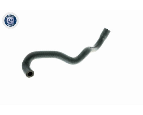 Radiator Hose Q+, original equipment manufacturer quality