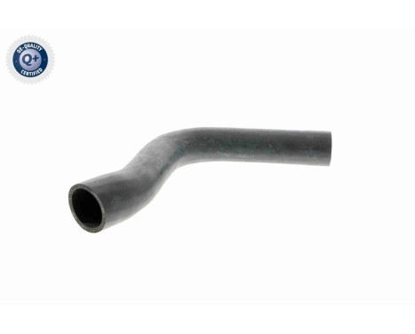 Radiator Hose Q+, original equipment manufacturer quality