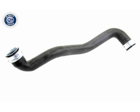 Radiator Hose Q+, original equipment manufacturer quality