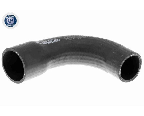Radiator Hose Q+, original equipment manufacturer quality