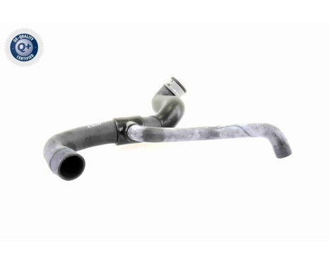 Radiator Hose Q+, original equipment manufacturer quality