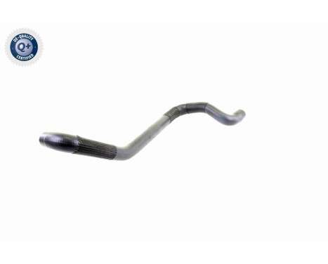 Radiator Hose Q+, original equipment manufacturer quality, Image 11