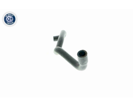 Radiator Hose Q+, original equipment manufacturer quality, Image 6