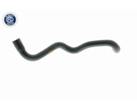 Radiator Hose Q+, original equipment manufacturer quality, Image 8