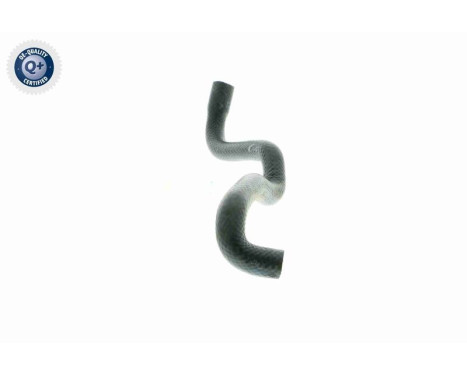 Radiator Hose Q+, original equipment manufacturer quality, Image 10