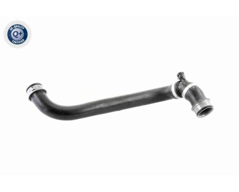 Radiator Hose Q+, original equipment manufacturer quality, Image 4