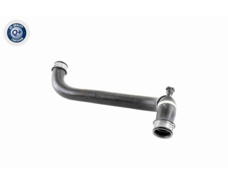 Radiator Hose Q+, original equipment manufacturer quality, Image 5