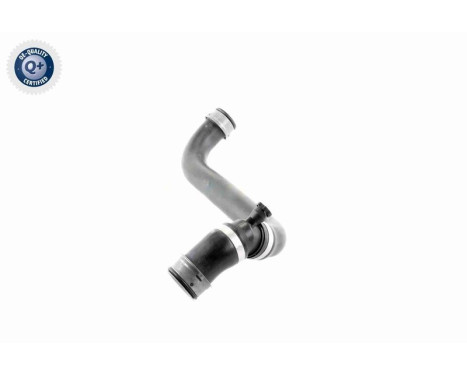 Radiator Hose Q+, original equipment manufacturer quality, Image 6