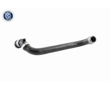 Radiator Hose Q+, original equipment manufacturer quality, Image 8
