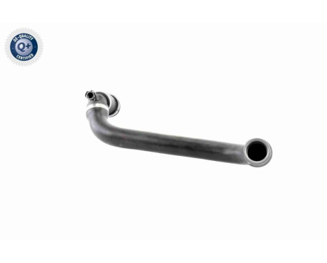 Radiator Hose Q+, original equipment manufacturer quality, Image 9