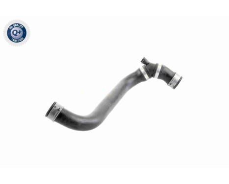 Radiator Hose Q+, original equipment manufacturer quality, Image 11