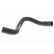 Radiator Hose Q+, original equipment manufacturer quality