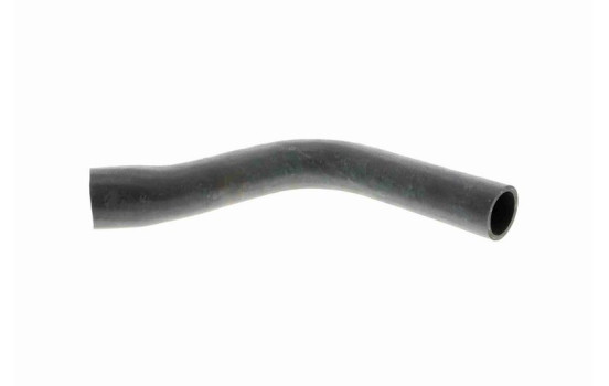 Radiator Hose Q+, original equipment manufacturer quality, Image 2