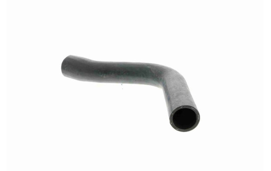 Radiator Hose Q+, original equipment manufacturer quality, Image 3