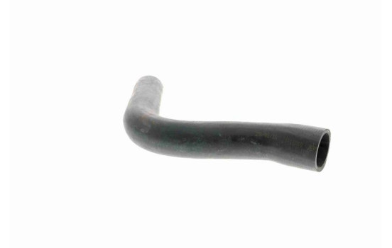 Radiator Hose Q+, original equipment manufacturer quality, Image 7