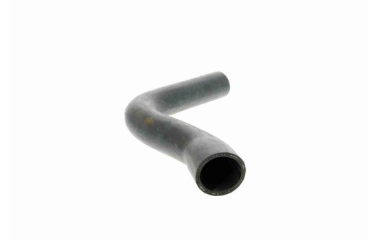 Radiator Hose Q+, original equipment manufacturer quality, Image 8