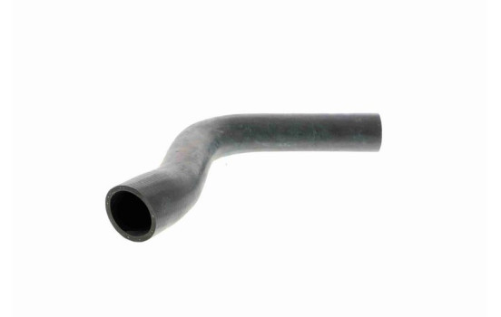 Radiator Hose Q+, original equipment manufacturer quality, Image 9