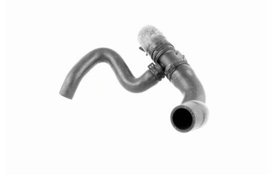 Radiator Hose Q+, original equipment manufacturer quality, Image 4