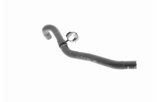 Radiator Hose Q+, original equipment manufacturer quality, Image 7