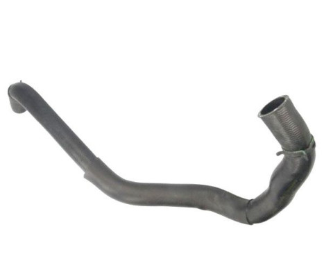 Radiator hose