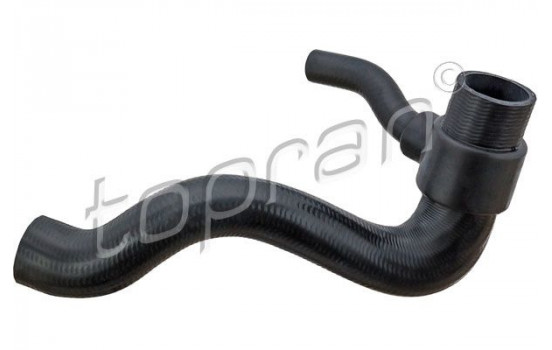 Radiator Hose