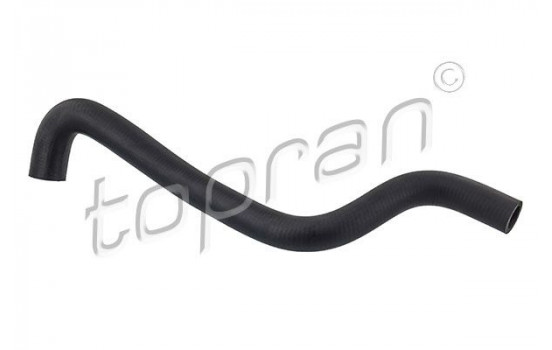 Radiator Hose
