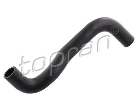 Radiator Hose