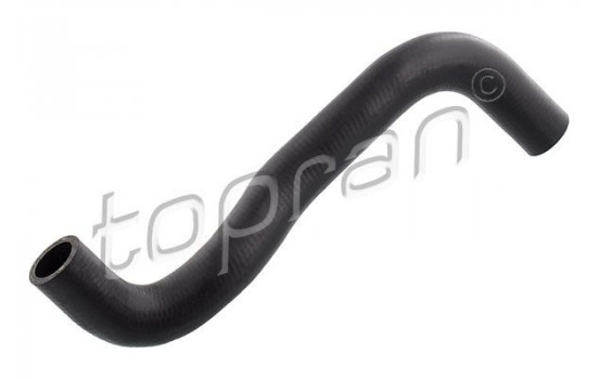 Radiator Hose