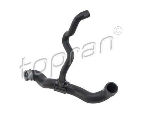 Radiator Hose