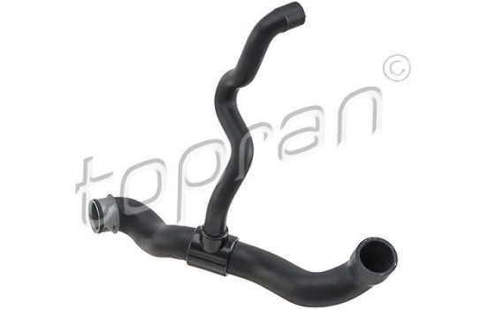 Radiator Hose