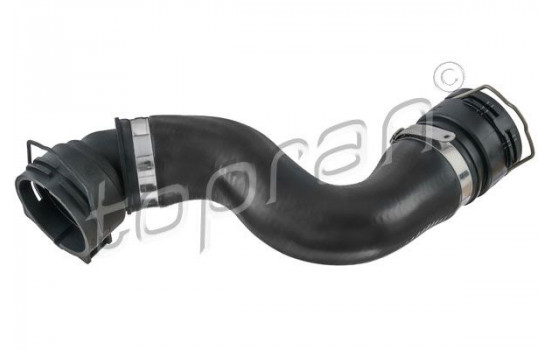 Radiator Hose