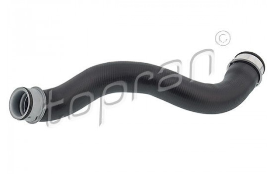 Radiator Hose