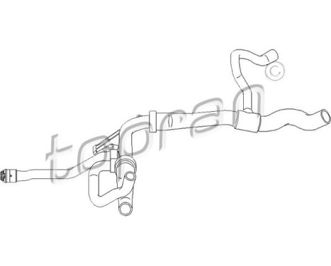 Radiator Hose