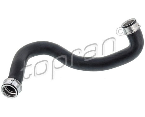 Radiator Hose
