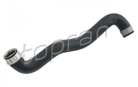 Radiator Hose