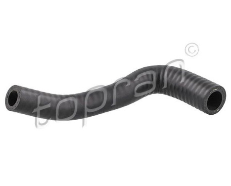 Radiator Hose