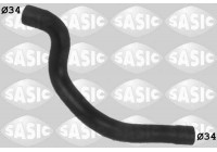 Radiator Hose
