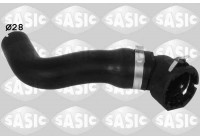 Radiator Hose