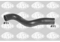 Radiator Hose
