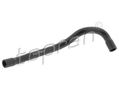 Radiator Hose