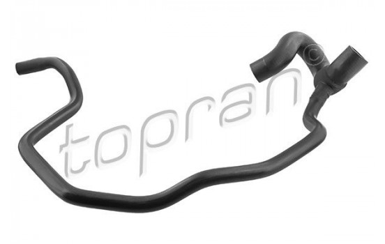 Radiator Hose