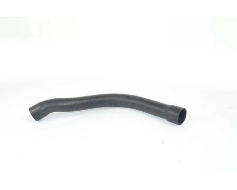 radiator hose